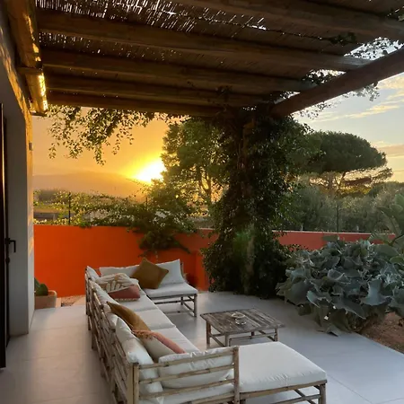 Casa Citrus